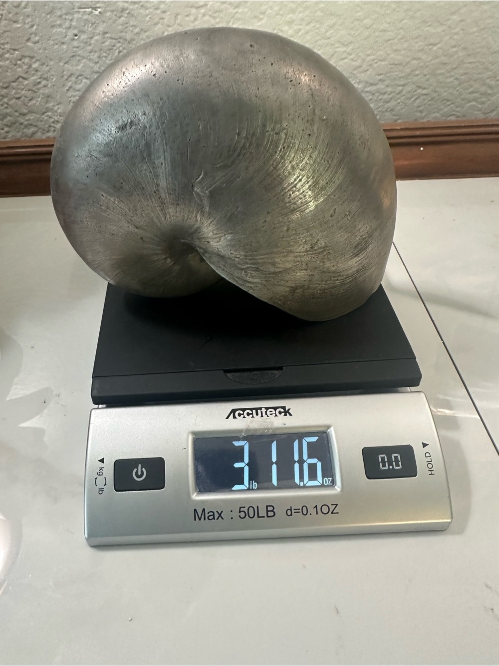Nautilus silver Shell Sculpture ..Buccellati look !!! Over 3 lbs - Picture 8 of 8